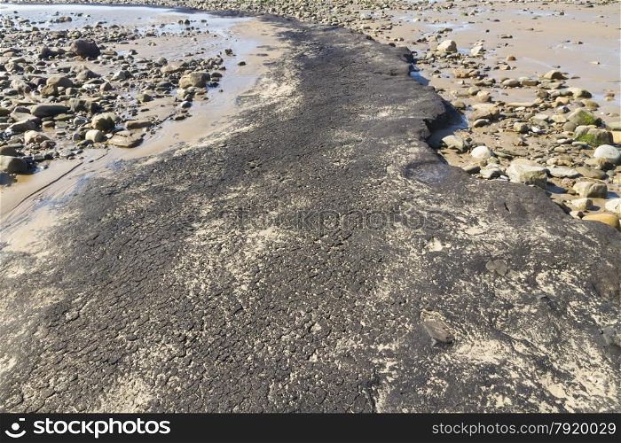 March 2014, after storms uncovered ancient peat. Whiteford Point, Whiteford Sands, Gower Peninsular, South Wales, United Kingdom, Europe.