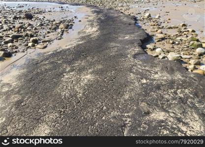 March 2014, after storms uncovered ancient peat. Whiteford Point, Whiteford Sands, Gower Peninsular, South Wales, United Kingdom, Europe.