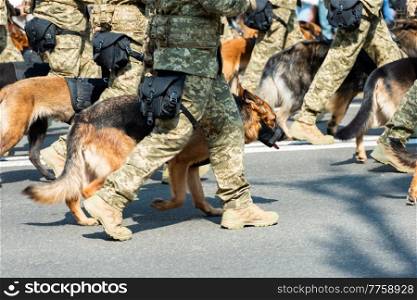 Marching Border Guards men with German shepherd dogs on street