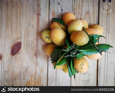 Marian Plum were famous of Thailand fruits