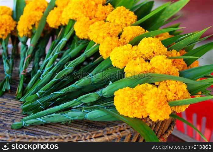 Marigold flowers gifts in Thailand, what devotional worship.