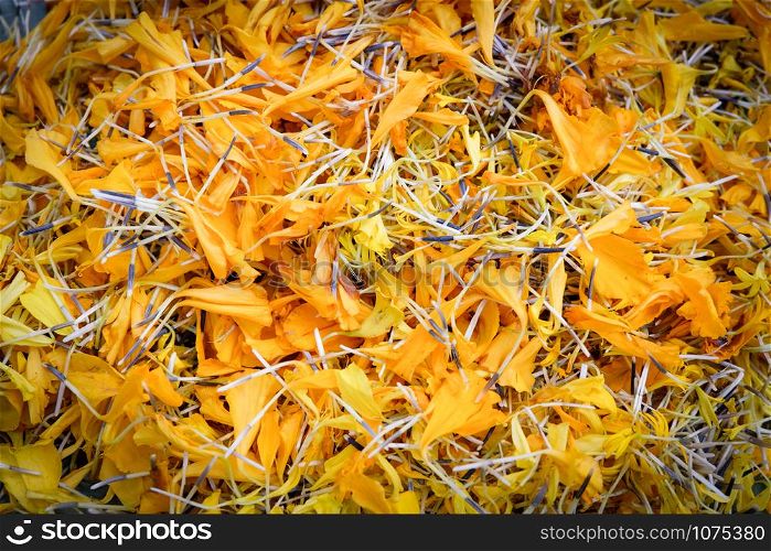 Marigold petals texture background / Yellow calendula flower