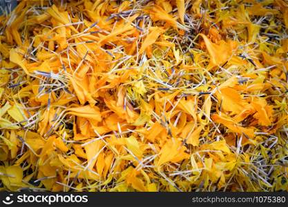 Marigold petals texture background / Yellow calendula flower