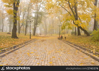 Mariinsky foggy park in Kiev, Ukraine
