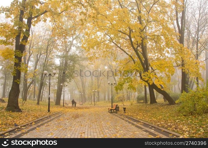 Mariinsky foggy park in Kiev, Ukraine