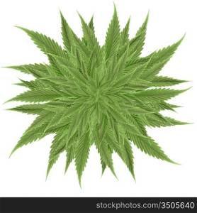 marijuana cannabis background green textures