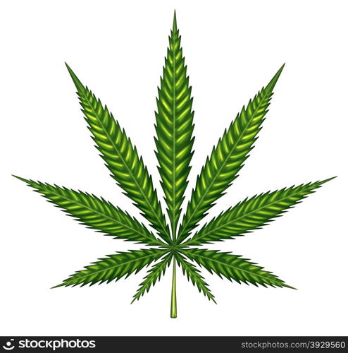 Marijuana leaf isolated on a white background as a symbol of alternative medical use herbal therapy and social drug law issues.