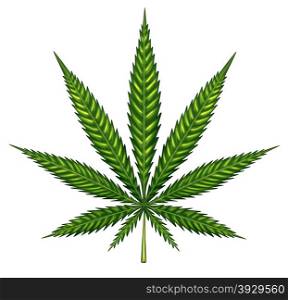 Marijuana leaf isolated on a white background as a symbol of alternative medical use herbal therapy and social drug law issues.