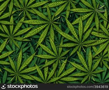 Marijuana leaves background pattern as a symbol for medicinal pot or medical weed farm as a group of green leaves as a cannabis theme.