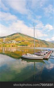 Marina on the Background of the Vineyards in the Valley of the River Douro, Portugal