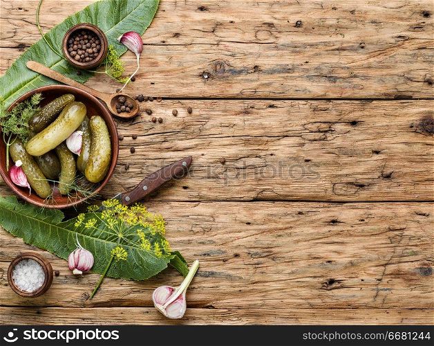Marinated pickled cucumbers.Pickled cucumbers with herbs and spices. Homemade Pickles On Wooden Table