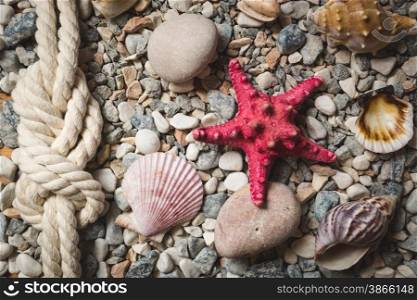 Marine background with ropes and seashells lying on seashore
