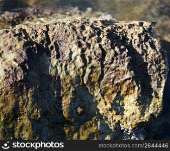 Marine rock texture detail on docks, barnacle
