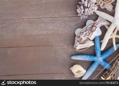 marine set with starfish, seashell and sea shells border on wooden planks background with copy space. starfish and sea shells on wooden board
