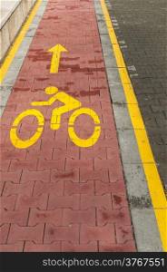 Marked bicycle path as part of city pedestrian zone