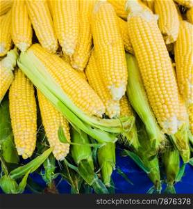 market stall with corncobs. Fresh sweet corn