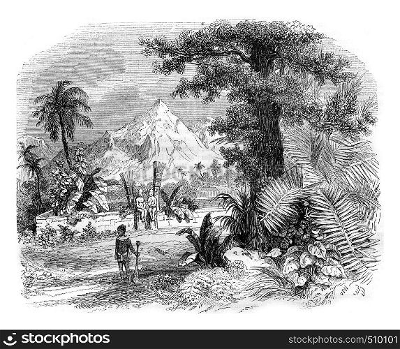 Marquesas Islands, A cemetery, a Nuka Hiva, vintage engraved illustration. Magasin Pittoresque 1843.
