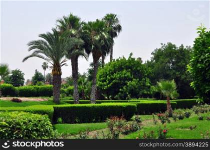 marrakech city morocco Koutoubia Gardens landmark plants