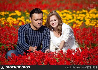 married couple in flowering park