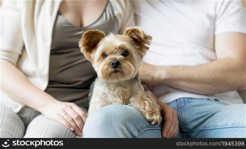 married couple their dog. High resolution photo. married couple their dog. High quality photo