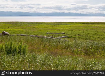 Marsh In The Vancouver Area Overlooking The Strait Of Georgia And Vancouver Island