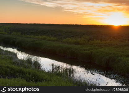 Marshland at sunrise, Manitoba, Canada