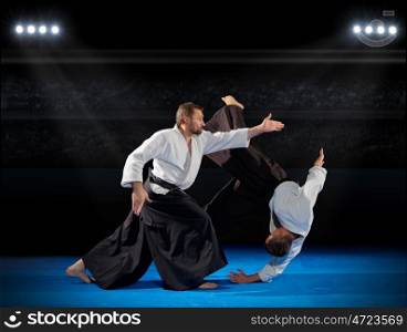 Martial arts fighters in sports hall