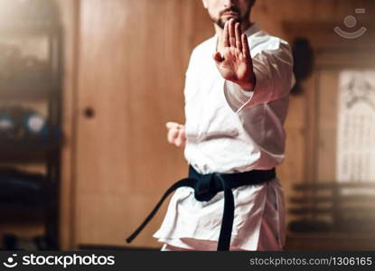 Martial arts karate master in white kimono and black belt on fight training in gym practicing kata. Martial arts master on fight training in gym