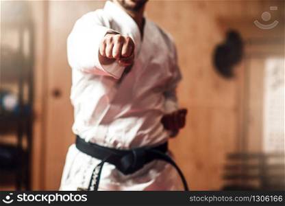 Martial arts karate master in white kimono and black belt on fight training in gym practicing kata. Martial arts master on fight training in gym