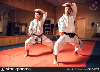 Martial arts karate masters in white uniform and black belts training combat skill. Sport workout in gym. Martial arts masters training combat skill
