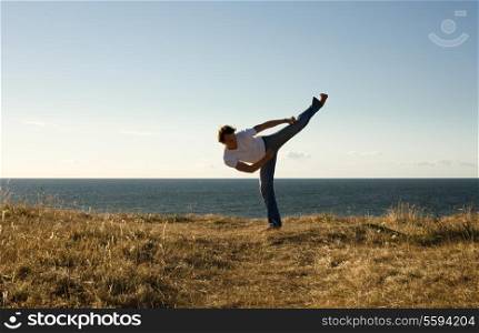 martial arts master high kicking