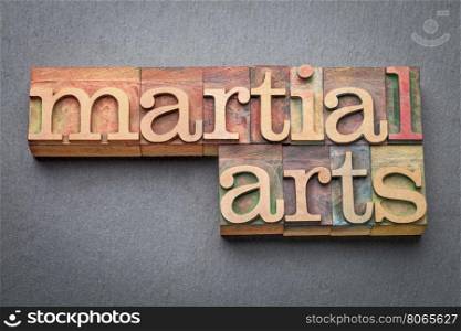 martial arts word abstract in letterpress wood type blocks against gray slate stone