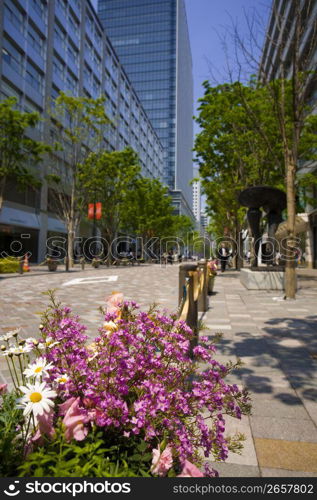 Marunouchi Nakadori