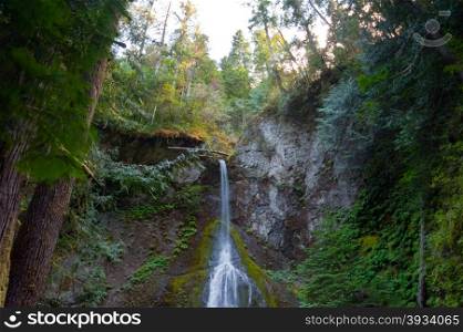 Marymere Falls in the Olympic National Park, WA state