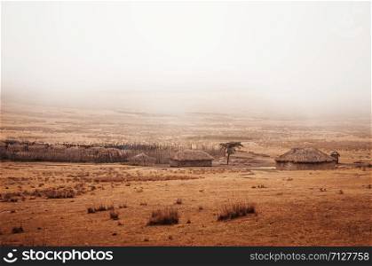 Masai or Maasai Village in empty golden grass plain on cold foggy weather day. Ngorongoro Consevation wildlife area, Serengeti Savanna forest in Tanzania.