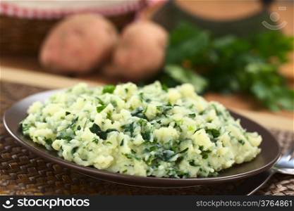 Mashed potatoes with fresh herbs on brown plate (Selective Focus, Focus one third into the mashed potato)