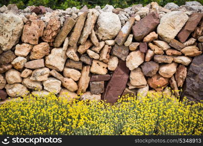 Masonry stonewall in spring with flowers at Menorca Balearic islands