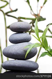 Massage stones with bamboo