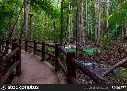 massive fence on a hiking trail in the beautiful forest of Thailand. Krabi