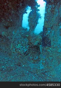 massive shipwreck, sits on a sandy seafloor in bali