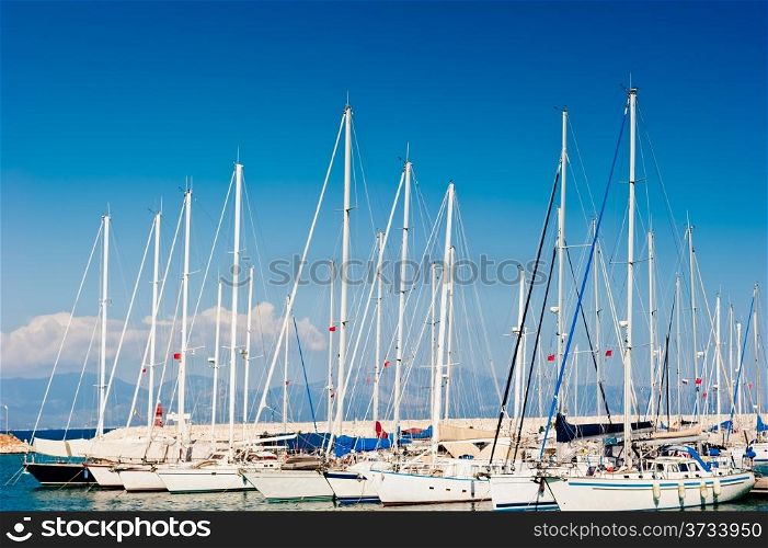 masts of yachts at the marina