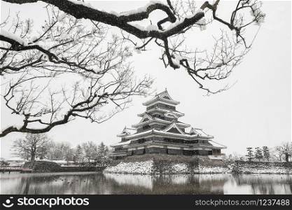 Matsumoto Castle with tree branches and snow in winter season, Nagano, Japan. Architecture landscape background in travel trip concept. Landmark.