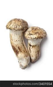 Matsutake mushrooms on white background