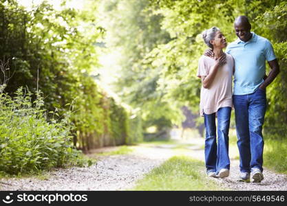 Mature African American Couple Walking In Countryside