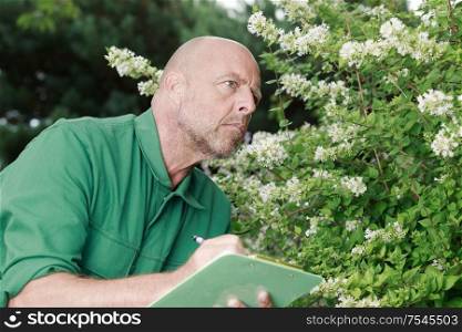 mature and concentrated gardener holding clipboard