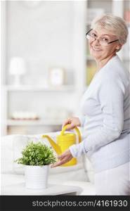 Mature attractive woman watering flowers at home
