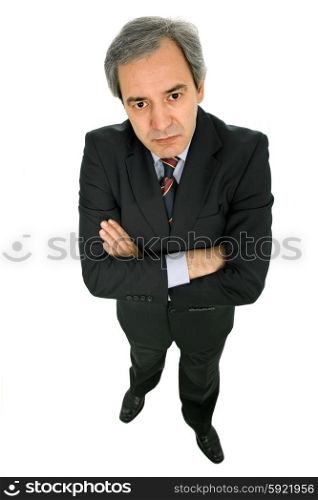 mature business man isolated on white background