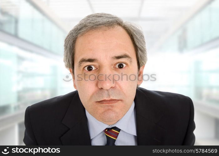 mature business man portrait at the office