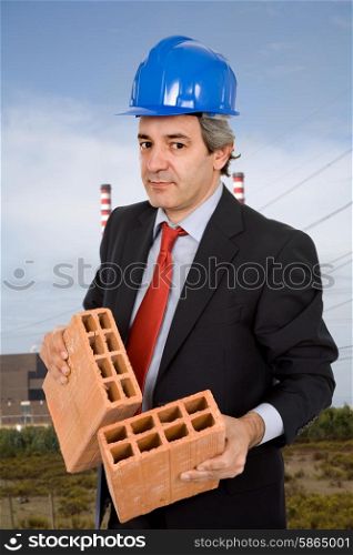 mature business man with two bricks