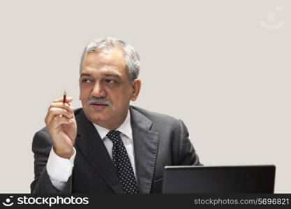 Mature businessman sitting with laptop